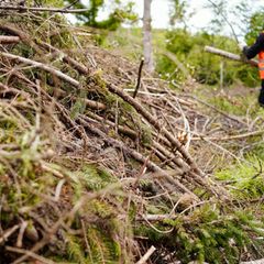 Gemeinnützige Arbeit leisten statt für eine Ersatzfreiheitsstrafe in den Knast gehen - diese Wahl treffen immer weniger Verurtei