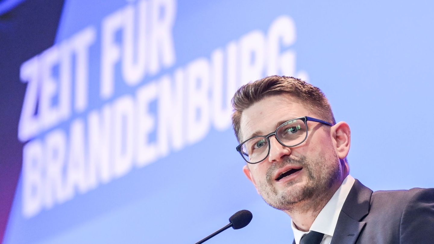 Brandenburgs AfD-Landeschef René Springer stößt mit der Forderung nach Einführung von Delegiertenparteitagen auf Kritik. Foto: J