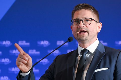 Der Brandenburger AfD-Landeschef René Springer stellt sich zur Wiederwahl. Foto: Jens Kalaene/dpa