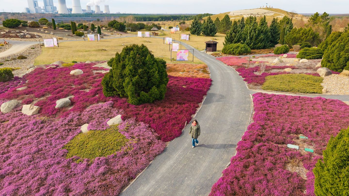 Freizeit: Lichtkunst und Blütenpracht im Lausitzer Findlingspark