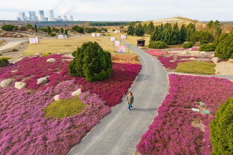 Auf dem 20 Hektar großen Areal des Findlingsparks Nochten lagern 7.000 skandinavische Findlinge, eingebettet in sieben malerisch