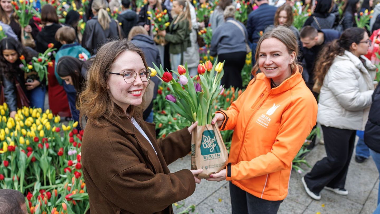 Bald Frühling: Blumenfans freuen sich über kostenlose Tulpen