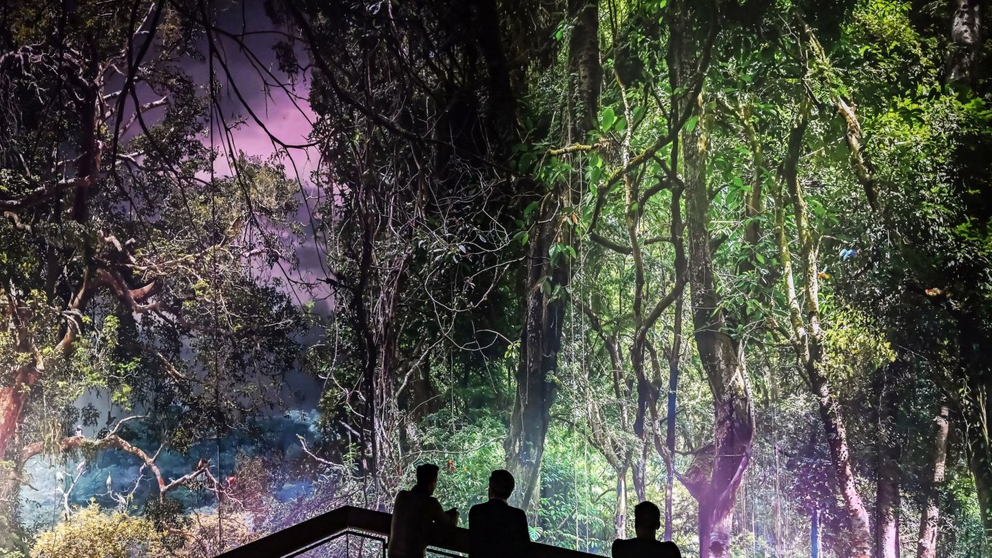 Gasometer Pforzheim: Regenwald-Panorama knackt Marke von 200.000 Besuchern