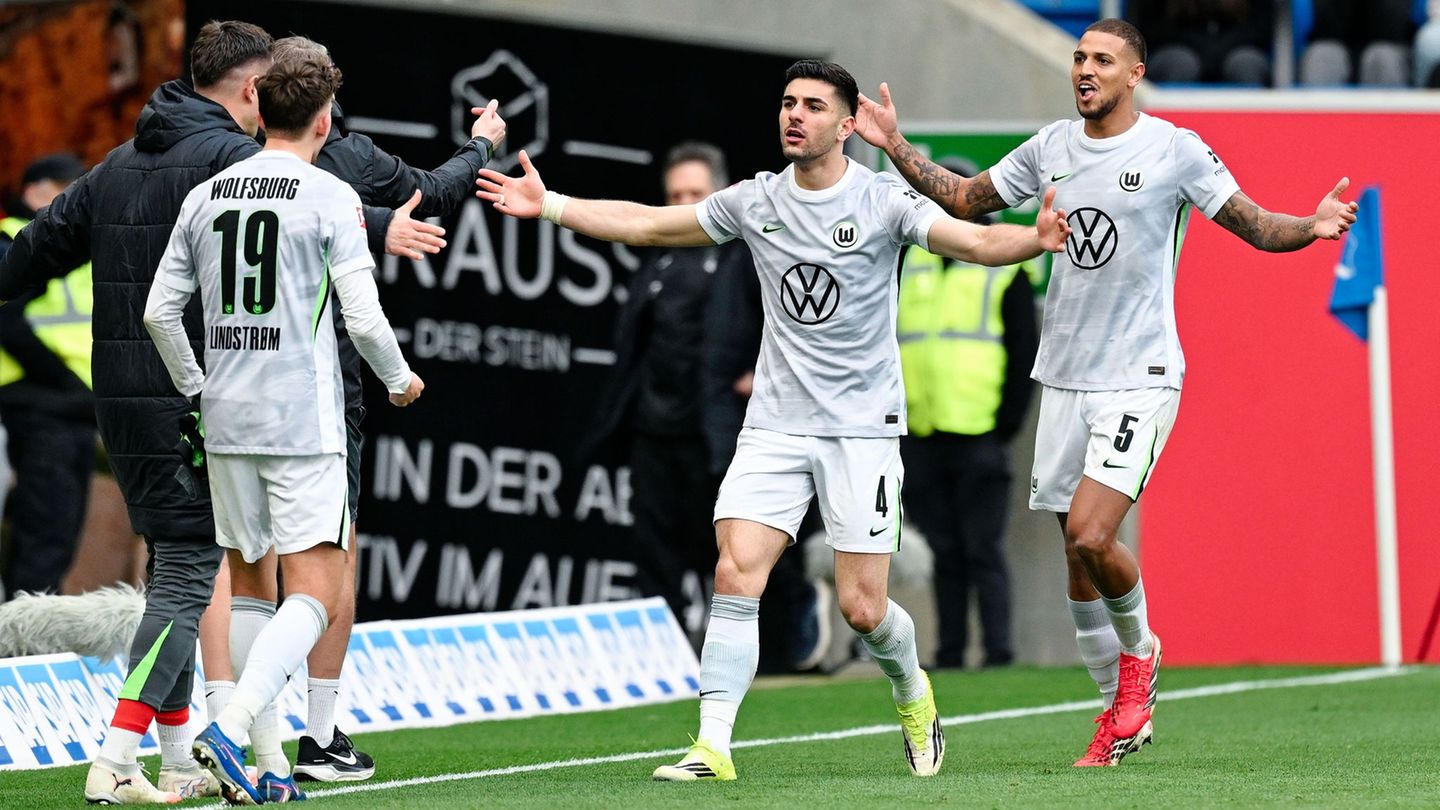 Fußball-Bundesliga: Halber Hecking-Effekt: Wolfsburgs Remis bei Hoffenheim