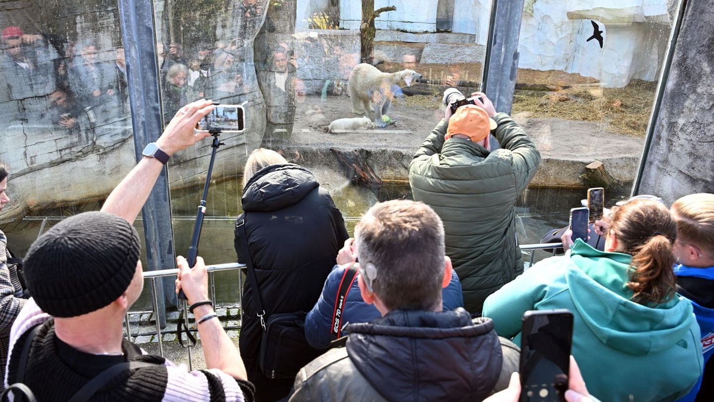 Vandalismus: Randalierer verwüsten Tiergehege im Karlsruher Zoo
