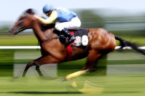 Ein Rennpferd mit Jockey galoppiert über eine Rennbahn