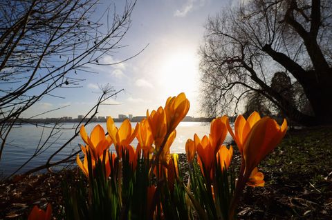 In der nächsten Woche wird es wieder wärmer und sonniger. Foto: Christian Charisius/dpa