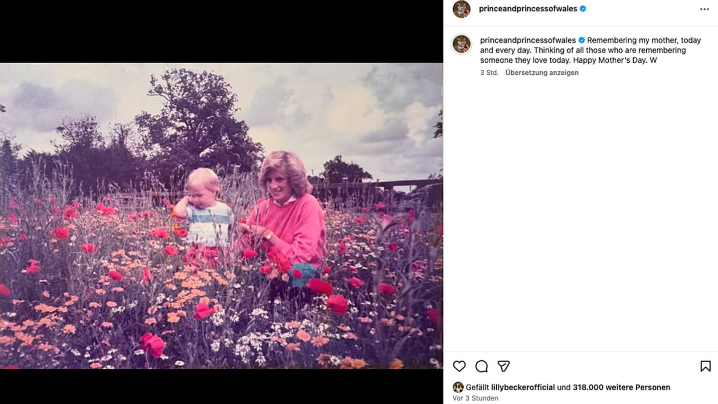 Vip News: Prinz William teilt zum Muttertag Foto von Prinzessin Diana