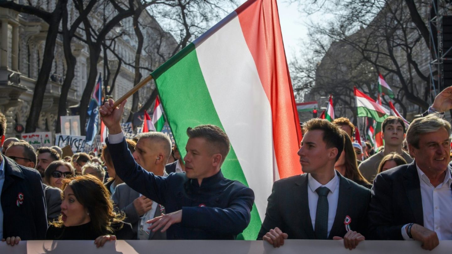 Oppositionschef Peter Magyar (mit der Fahne) bei Demo