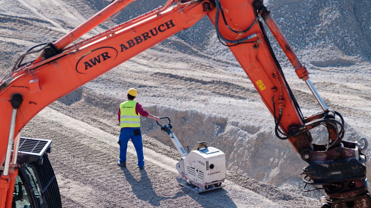 Der lange Arm des Abrisses. (Archivbild) Foto: Uwe Anspach/dpa
