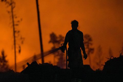 In Thüringen wütete im Sommer 2025 auf der Saalfelder Höhe das bis dahin größte Feuer der aktuellen Waldbrandstatistik. (Archivb