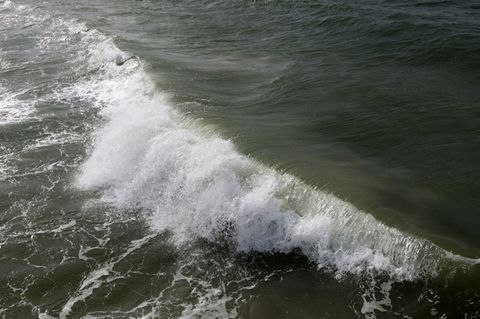 Für einen großen Salzwassereinbruch sind starke Weststürme nötig, die aber bislang ausblieben. Foto: Bernd Wüstneck/dpa