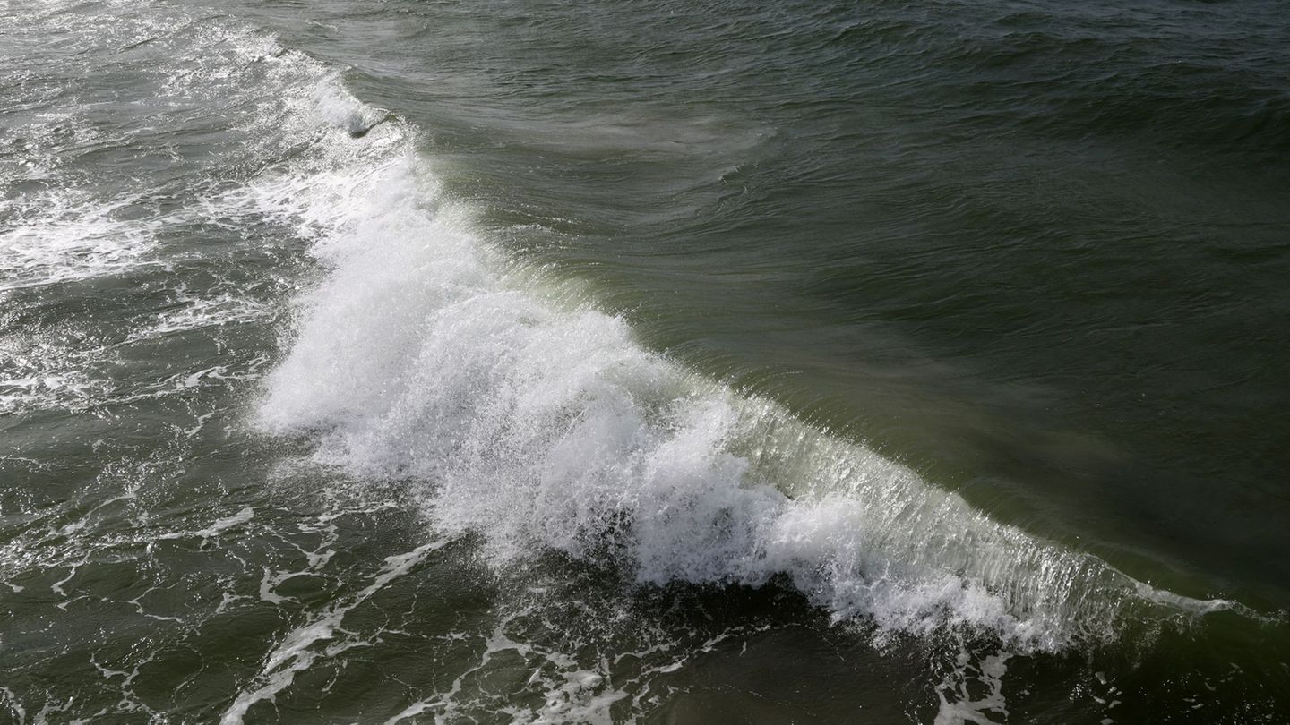 Für einen großen Salzwassereinbruch sind starke Weststürme nötig, die aber bislang ausblieben. Foto: Bernd Wüstneck/dpa