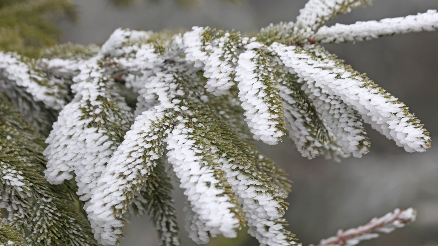 In den Mittelgebirgen wie Erzgebirge, Harz und Thüringer Wald fällt zum Wochenstart noch einmal etwas Schnee. Foto: Matthias Bei