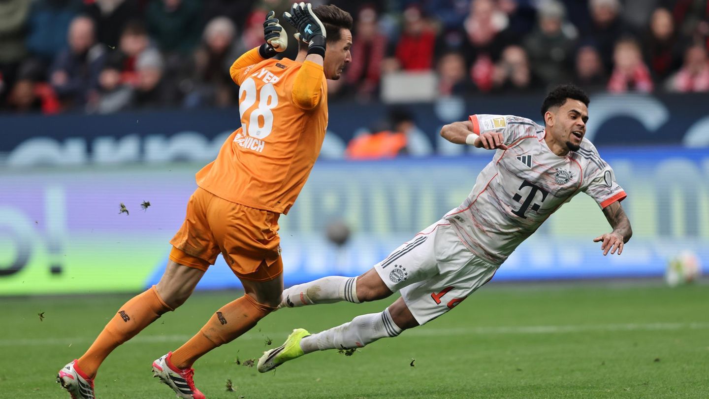 Elfer oder Schwalbe? Bayer-Leverkusens Torwart zieht zurück, während FC Bayerns Stürmer über ihn fällt