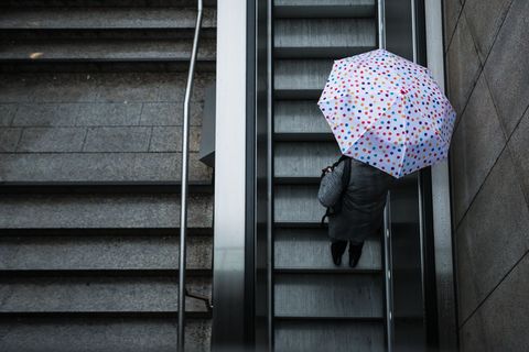 Wer am Montag raus will, braucht Regenschirm und Jacke. Foto: Christoph Schmidt/dpa