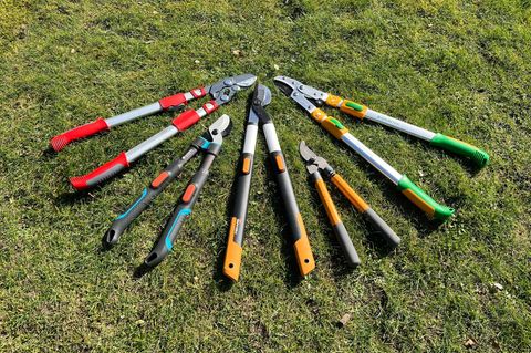 Teleskop Astscheren im Test