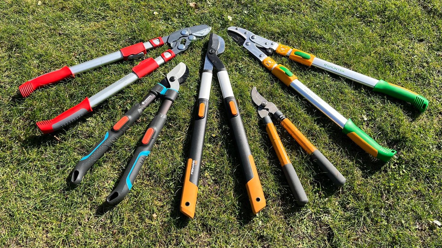 Teleskop Astscheren im Test