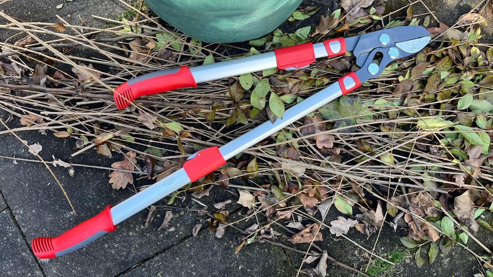 Teleskop Astschere von Wolf