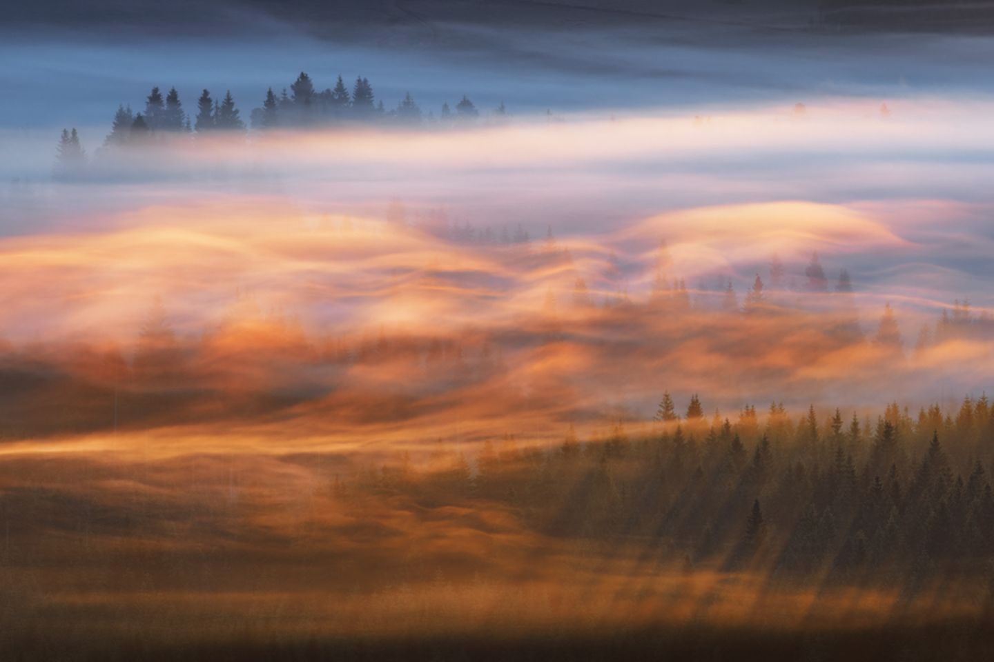 Isergebirge, Tschechien: Morgennebel verzaubert die Landschaft an der Jizera, zu Deutsch Iser. „Der magischste Moment kam kurz nach Sonnenaufgang, als das erste warme rote Licht den Nebel berührte, ihn zum Leuchten brachte und eine fast traumhafte Atmosphäre schuf", schreibt der Fotograf Martin Rak zu seinem Bild.