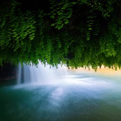 In Zrmanja, Kroatien, entdeckte der Fotograf Ingo Zahlheimer diese besondere Perspektive auf einen der zahlreichen Wasserfälle: Frauenhaarfarn bildet nicht nur in feuchten Nischen, sondern auch an der Unterseite von Felsvorsprüngen aus hellem Tuffstein dichte, dekorative Teppiche.   