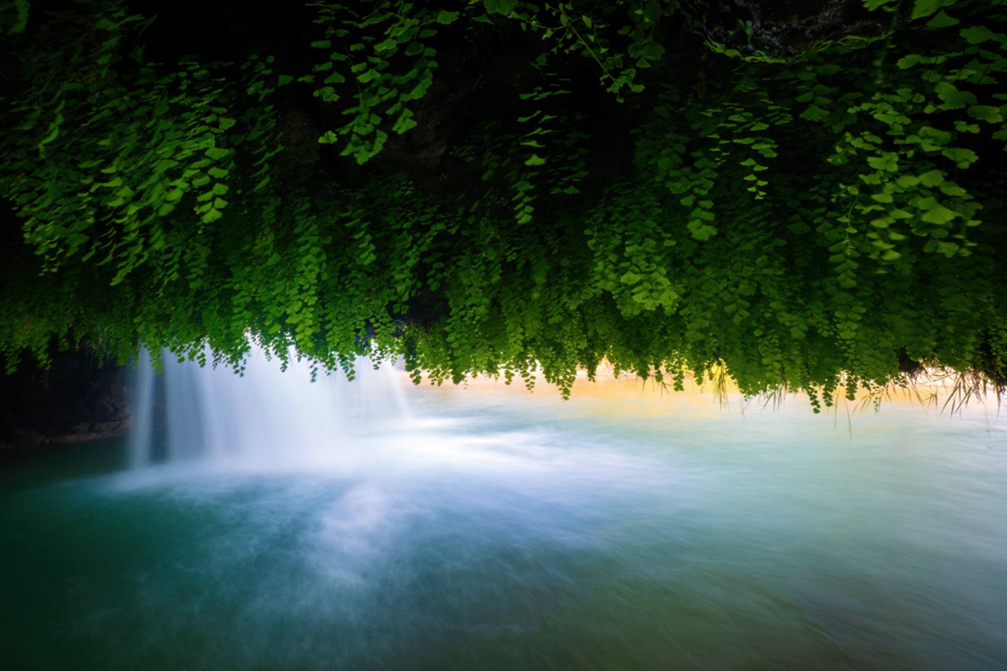 In Zrmanja, Kroatien, entdeckte der Fotograf Ingo Zahlheimer diese besondere Perspektive auf einen der zahlreichen Wasserfälle: Frauenhaarfarn bildet nicht nur in feuchten Nischen, sondern auch an der Unterseite von Felsvorsprüngen aus hellem Tuffstein dichte, dekorative Teppiche.   