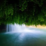 In Zrmanja, Kroatien, entdeckte der Fotograf Ingo Zahlheimer diese besondere Perspektive auf einen der zahlreichen Wasserfälle: Frauenhaarfarn bildet nicht nur in feuchten Nischen, sondern auch an der Unterseite von Felsvorsprüngen aus hellem Tuffstein dichte, dekorative Teppiche.   