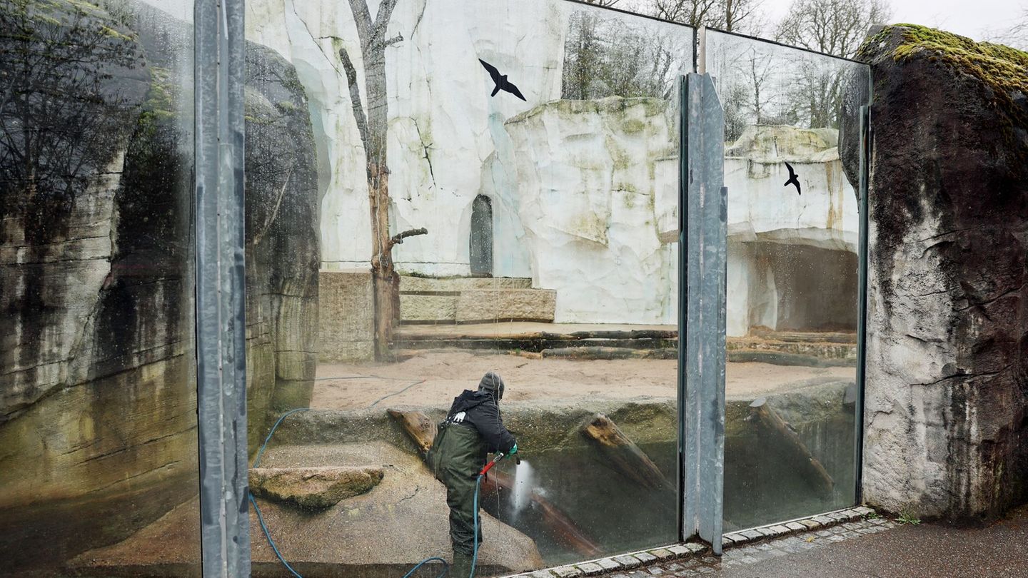 Am Morgen nach dem Vorfall reinigen Zoomitarbeiter die Tiergehege. Foto: Timo Deible/Zoo Karlsruhe