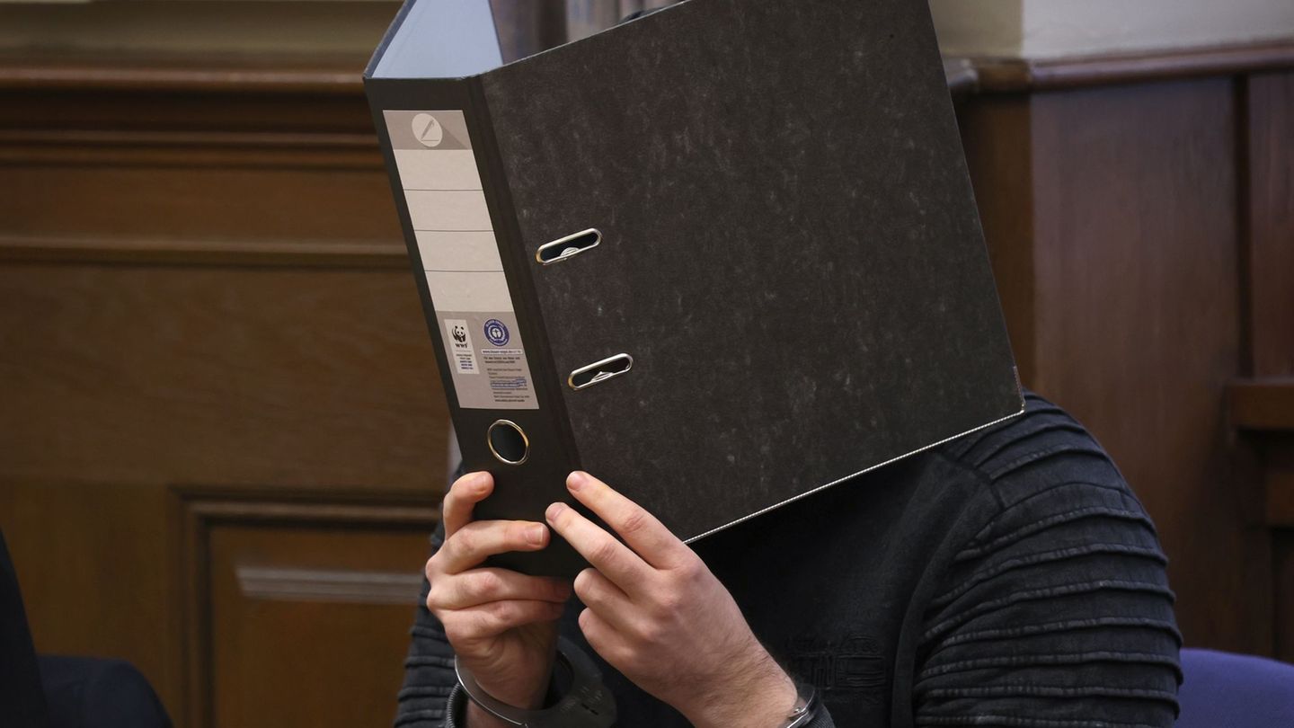 Der Angeklagte hat die Tat gestanden. Foto: Karl-Josef Hildenbrand/dpa