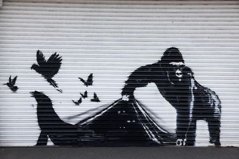 Ein Kunstwerk von Banksy, es zeigt wilde Tiere, unter anderem einen Gorilla, der einen Vorhang aufhält