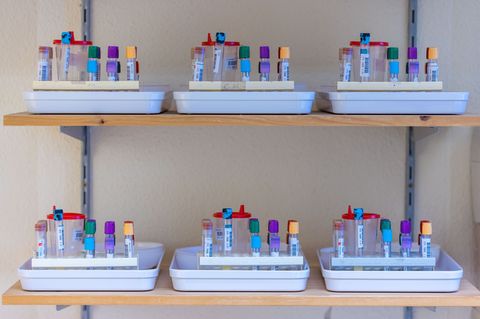 Die Zahl der Probanden und Probandinnen des SHIP-Projekts (Study of Health in Pomerania) ist bereits fünfstellig. (Archivbild) F