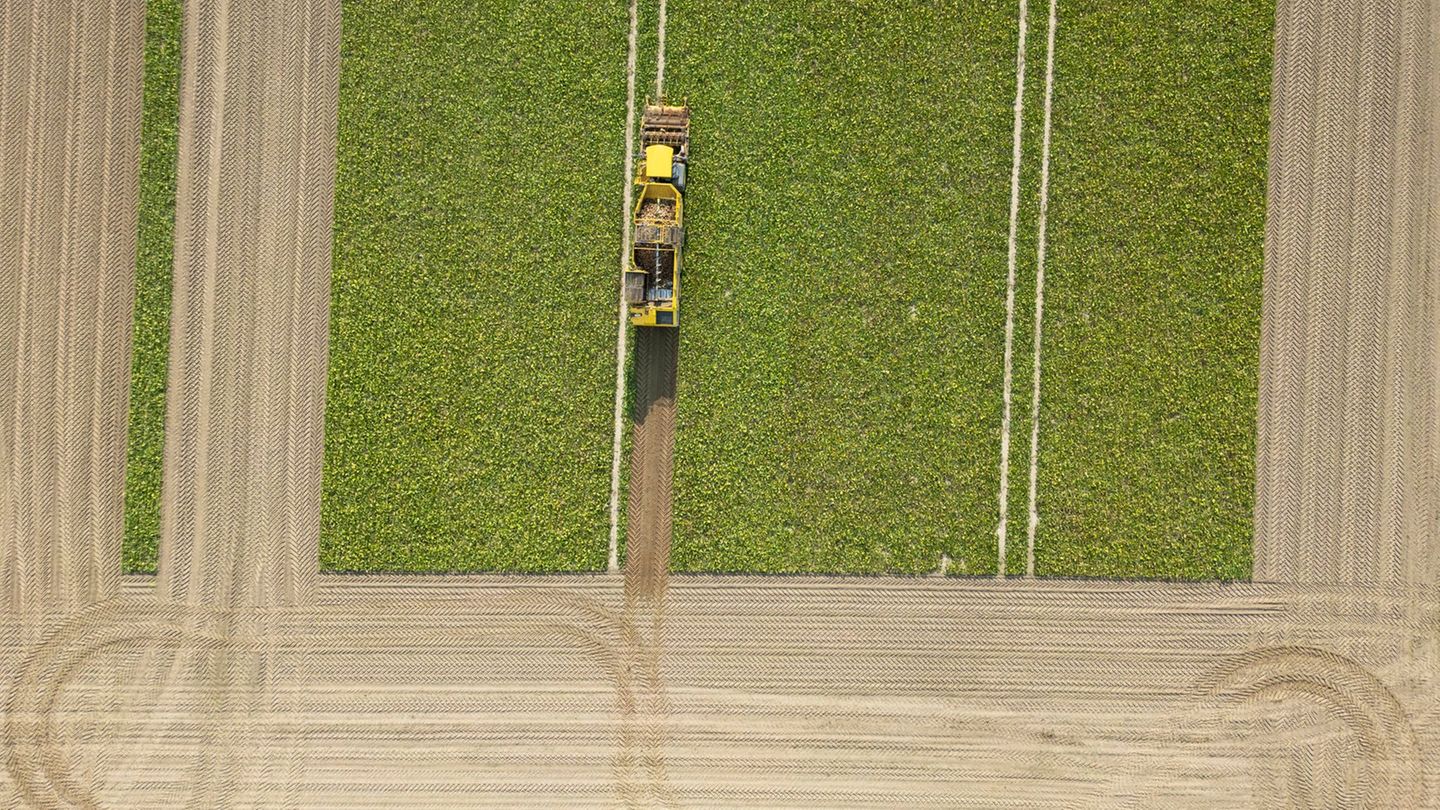 Die landwirtschaftliche Fläche in Hessen summiert sich laut einer Statistik aus dem Jahr 2023 auf insgesamt 796.700 Hektar. (Arc