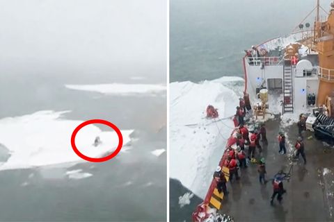 Die US-Küstenwache rettet einen Mann von einer Eisscholle.