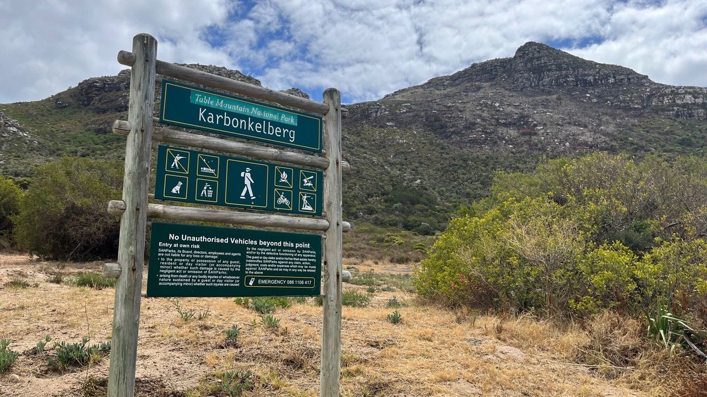 An dieser Stelle wurde der junge Mann zum letzten Mal gesehen. (Archivbild) Foto: Kristin Palitza/dpa