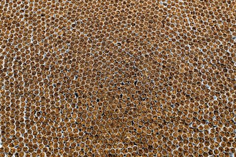 Zigaretten in belgischem Aartselaar