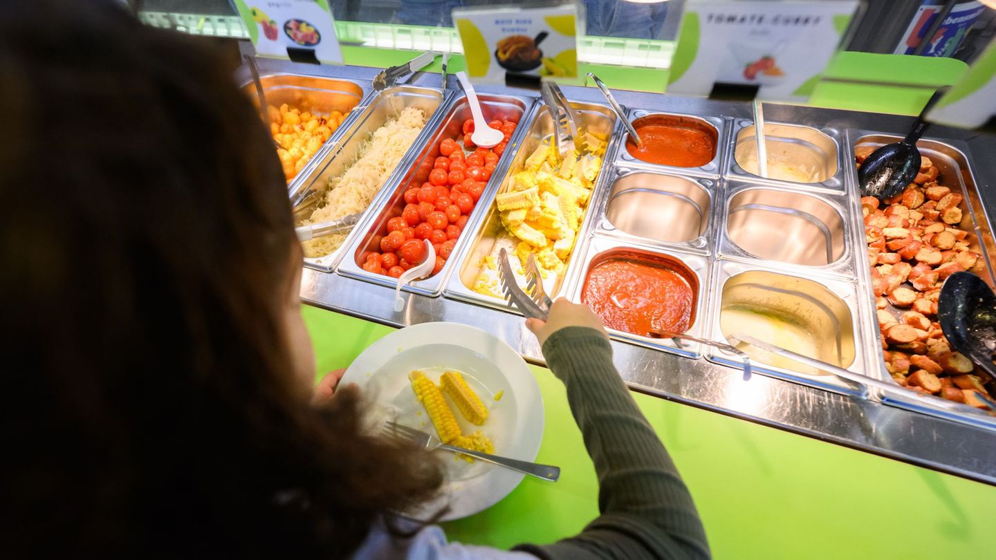 Praktische Erfahrungen sollen eine größere Rolle spielen, etwa beim Kochen oder im Umgang mit Lebensmitteln. Foto: Julian Strate