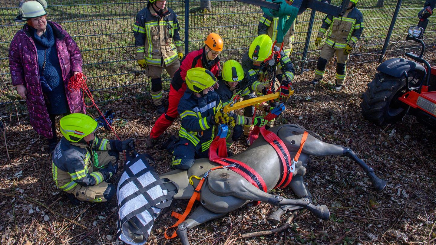 Magdeburger Berufsfeuerwehrleute haben sich fit für die Rettung von Pferd, Rind, Lama und Co. gemacht. Foto: Klaus-Dietmar Gabbe