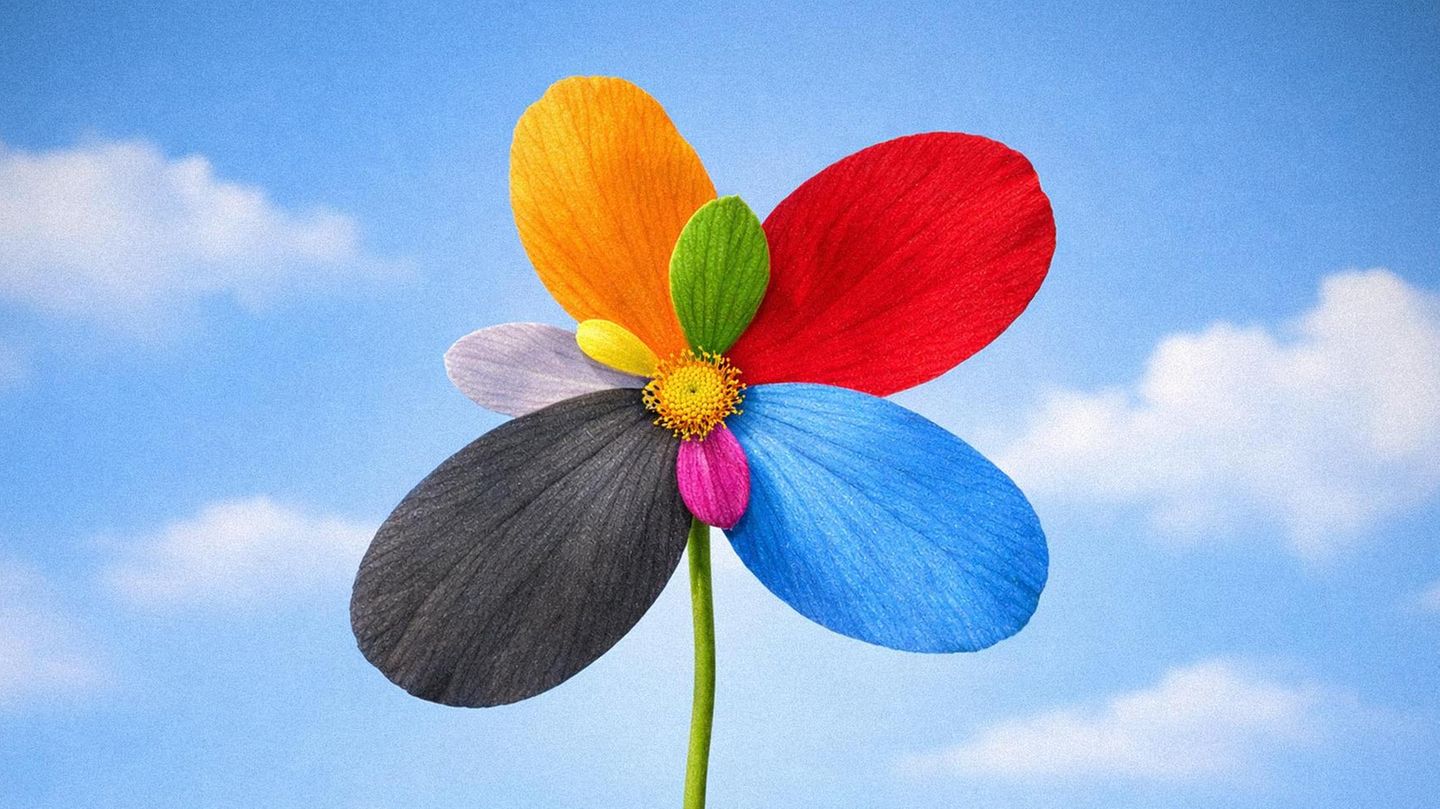 Auf dem Bild sieht man eine Blume in Farben verschiedener Parteien vor blauem Frühlingshimmel. (Symbolbild Umfragen)