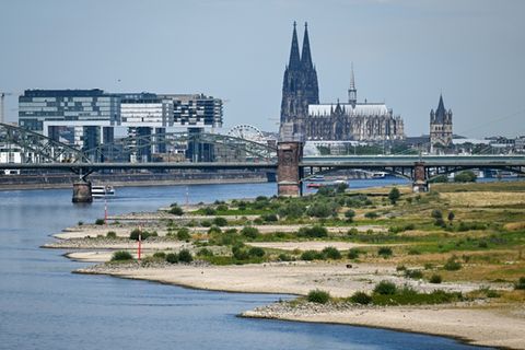 Blick auf Köln