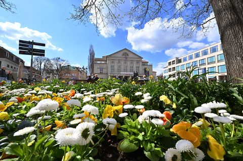 Um Beete im Frühjahr mit bunten Blumen zu zieren und somit ein Stück Lebensqualität zu schaffen, müssen die Städte in Thüringen