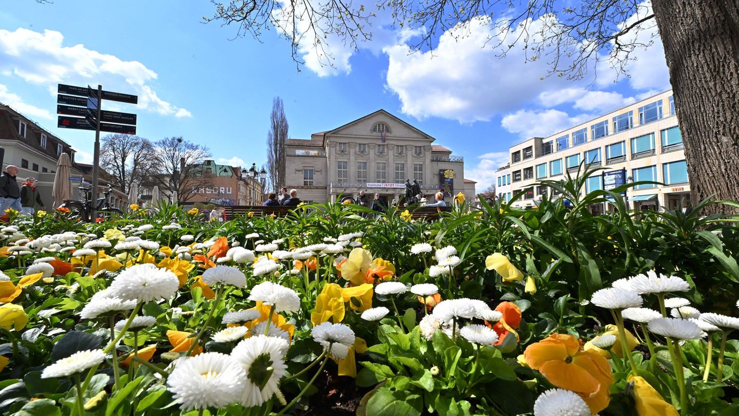 Um Beete im Frühjahr mit bunten Blumen zu zieren und somit ein Stück Lebensqualität zu schaffen, müssen die Städte in Thüringen