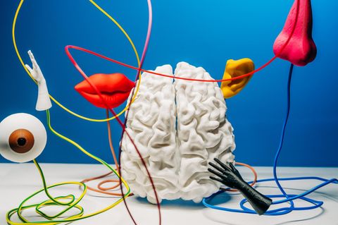 Psychotherapeut erklärt: Angst, Sucht, Depressionen – warum ADHS selten allein kommt