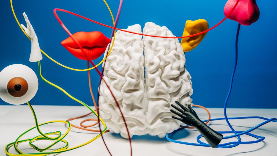 Psychotherapeut erklärt: Angst, Sucht, Depressionen – warum ADHS selten allein kommt