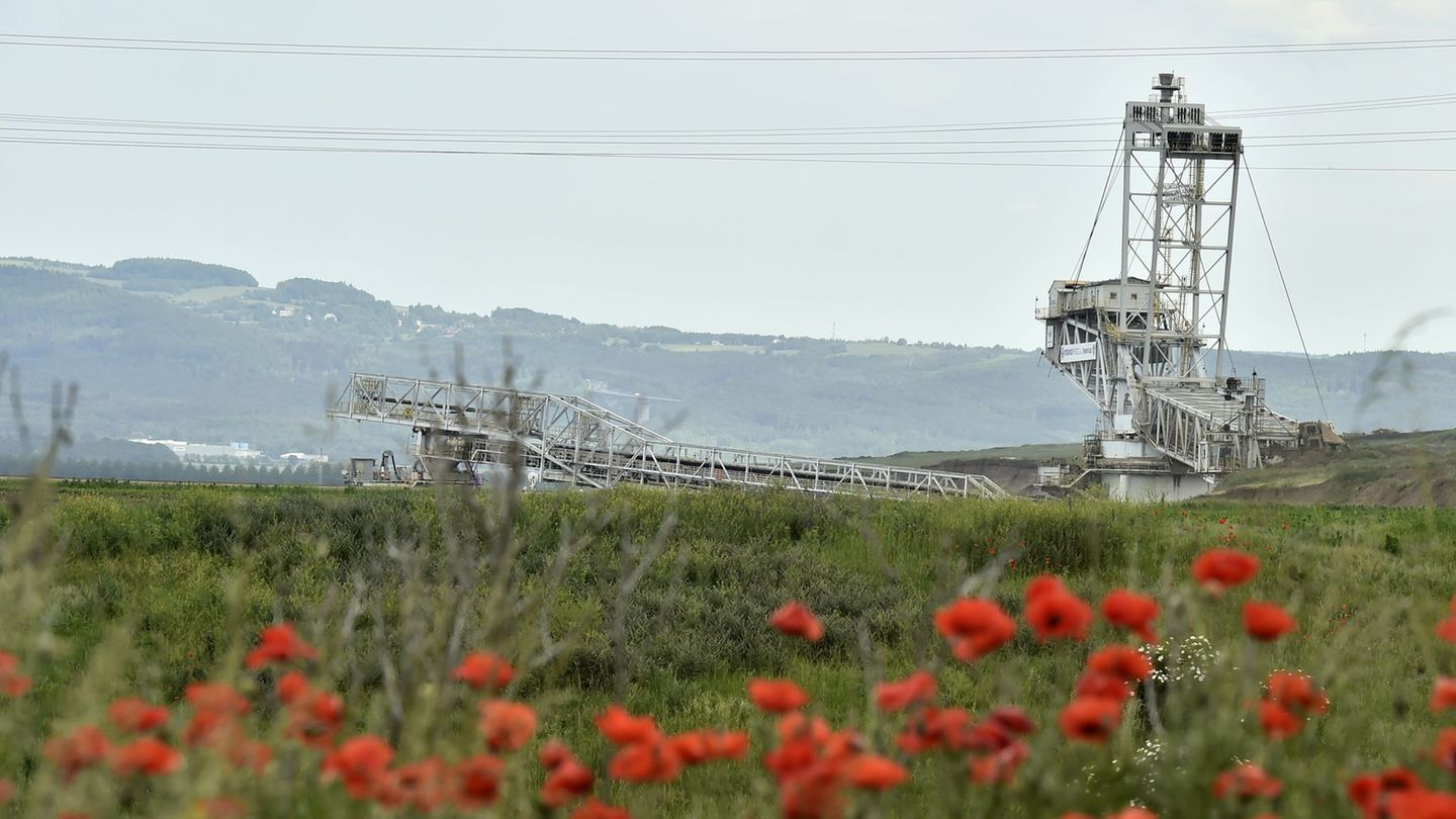 Ein Blick auf einen Schaufelradbagger im Braunkohle-Tagebau Nastup-Tusimice. (Archivbild) Foto: Hájek Ondøej/CTK/dpa