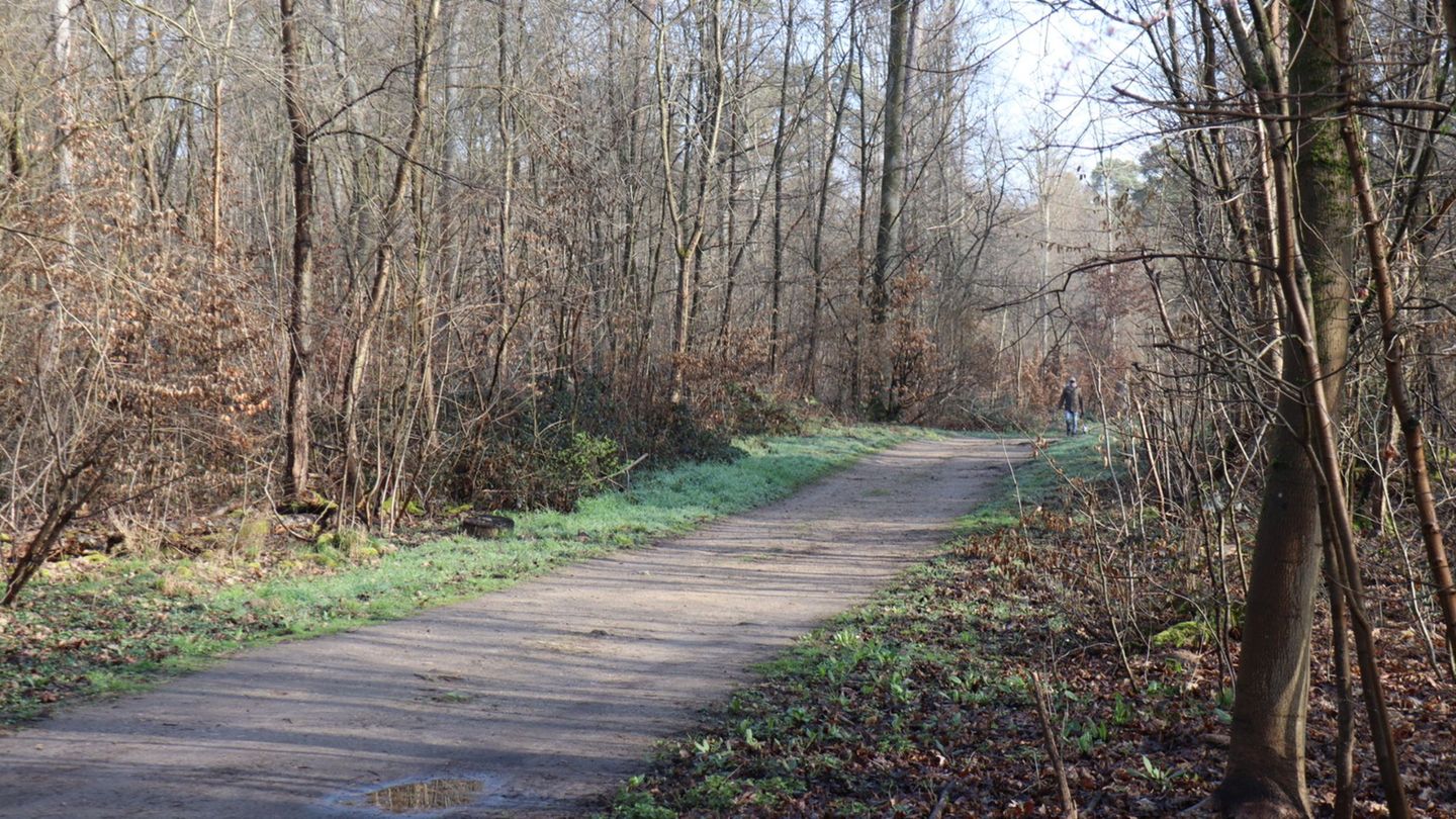 Die Ermittler geben sich rund eine Woche nach dem Fund einer toten 19-Jährigen in einem Wald bei Mannheim bedeckt. (Archivbild)