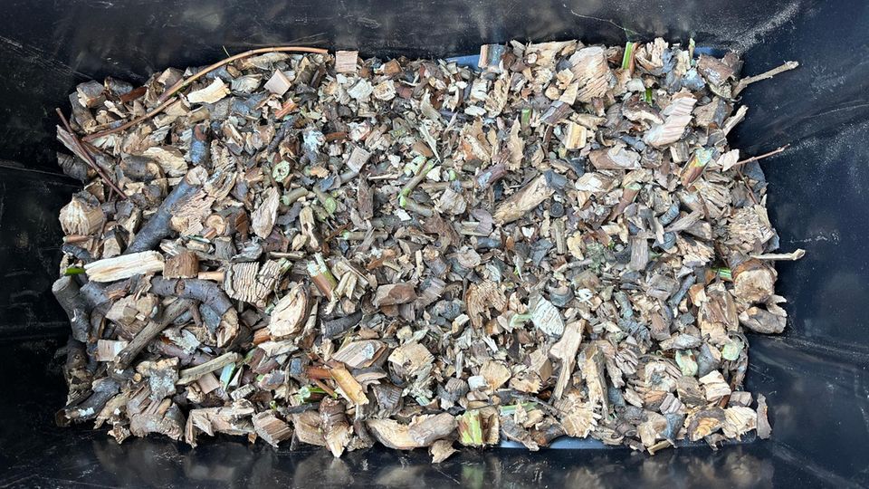 Hackschnitzel in der Nahaufnahme