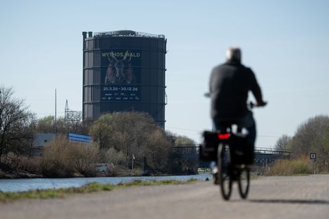 Von der Wurzel bis in die Baumkrone leuchtet es: Ein 35 Meter hoher Baum aus Licht steht im Mittelpunkt der Ausstellung im Gasom