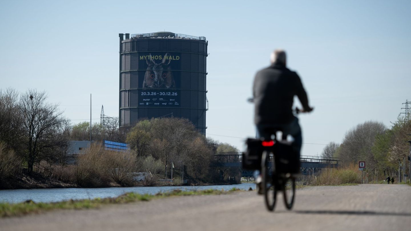 Von der Wurzel bis in die Baumkrone leuchtet es: Ein 35 Meter hoher Baum aus Licht steht im Mittelpunkt der Ausstellung im Gasom