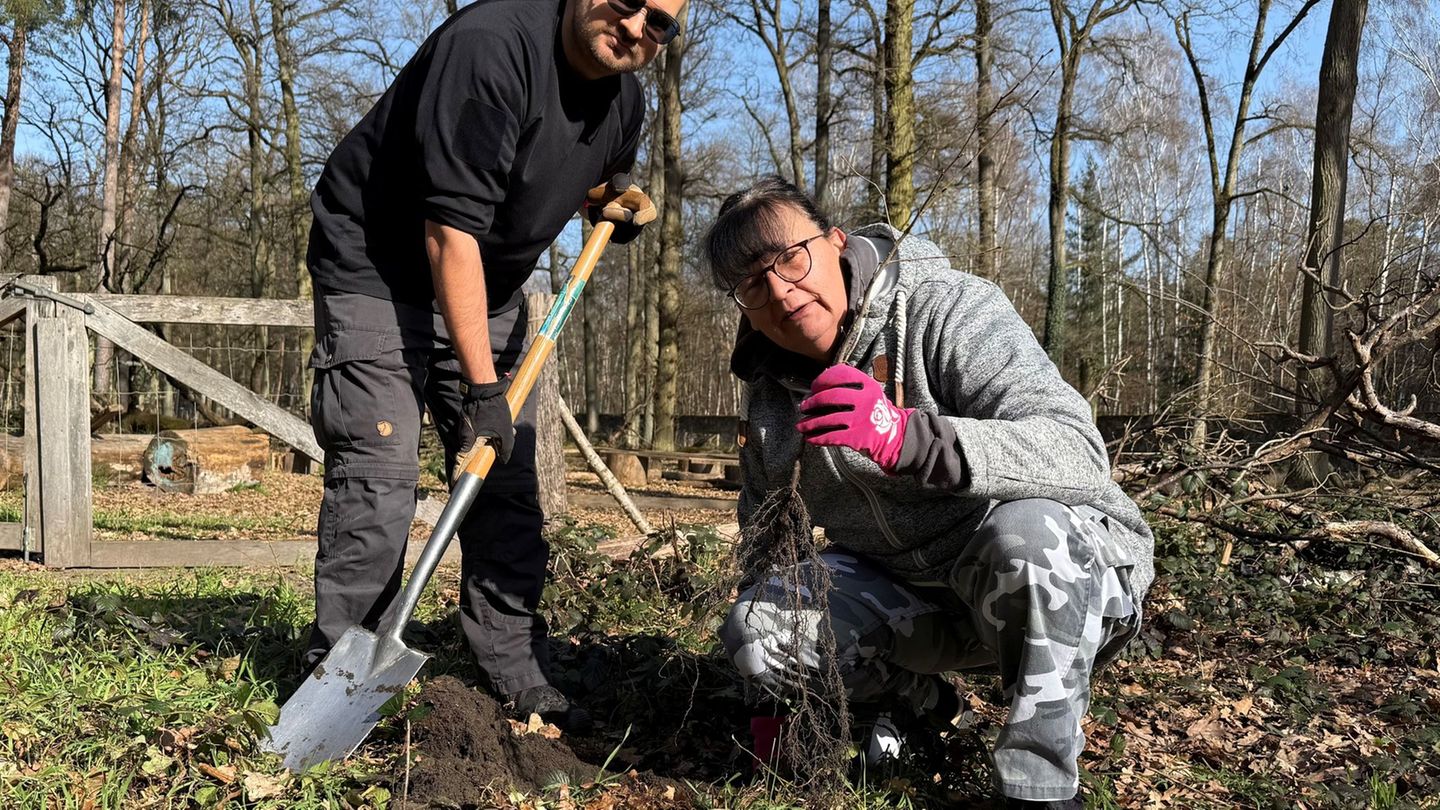 Mit den Pflanzungen soll der Wald robuster gegen die Klimaveränderung gemacht werden - auch Susanne und ihr Sohn Alexander sind