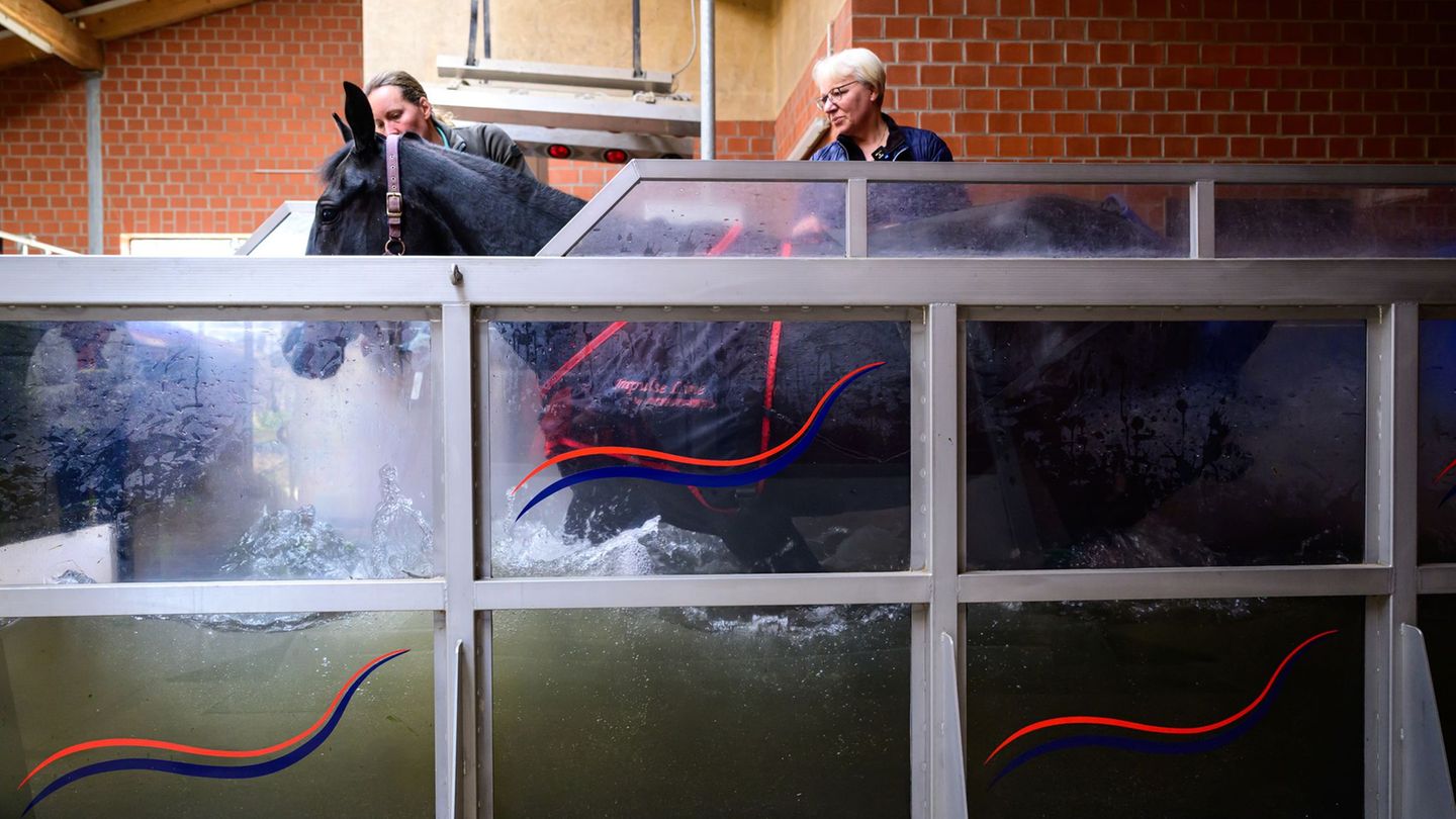 Das gelenkschonende Üben bei sanftem Widerstand bringe auch viel für die Kondition. Foto: Philipp Schulze/dpa